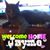 Lindsay Kinneman's profile image