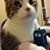 Delda Findeisen's profile image