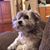 Robin Goodman's profile image