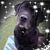 Lori Powers's profile image