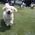 Blacina M Akle's profile image