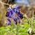 Lorri Barnett's profile image