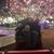 Michael Keister's profile image