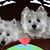Nancy Wichtendahl's profile image