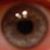 Christopher Wilson's profile image