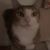 April Beneke-Holwald's profile image