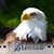 Kim Pate's profile image