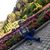 นาย ดาว's profile image