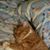 Tabitha Miller's profile image