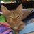 Rebecca S. Pate's profile image