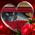 John McLaughlin Jr.'s profile image