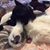 Cindy L Altenhofen Peterson's profile image