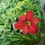 Suzi Neely Auman's profile image