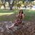 Susan Alred's profile image