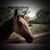 Tammy Burgeson's profile image