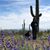 Carolyn J. Kjer's profile image