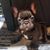 Nicole Smith's profile image
