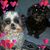 Doreen LaHaie's profile image