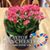 Wanda Gwyn's profile image