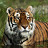 maymay's profile image