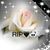 Lupe Pitayita Delgadillo's profile image