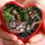 Jenniferanddustin Bryan's profile image