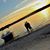 Michele Cooley Lafferty's profile image
