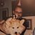 Martin Schreiner's profile image