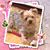 Maryann Mimi Dennis Wauthier's profile image