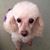 Frank Mulliken's profile image
