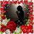 Lisa Oconnor's profile image