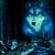 Jimmy Wolf's profile image