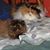 Jackie Morgan's profile image