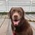 Kennedy Elsey's profile image