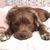 Robyn Jones Lindbeck's profile image