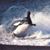 Bruce Dennis's profile image