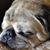Judy Wright's profile image