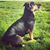Julie Quanz Kodama's profile image