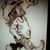 Rex Watson's profile image