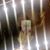 Livi Nicole Leitch's profile image