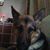Jerri Hinds Murphy's profile image