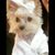 Juan Tellez's profile image