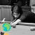 Alexandra Calabrese's profile image