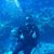 Mark Burbidge's profile image