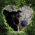 Susan Klotz's profile image