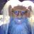 Tim Beyer's profile image