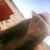 Ruta Kshirsagar Thomas's profile image