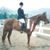 Stacey Rigney's profile image