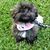 Marilyn Mogush's profile image