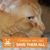 Grace Lorentz Lock's profile image